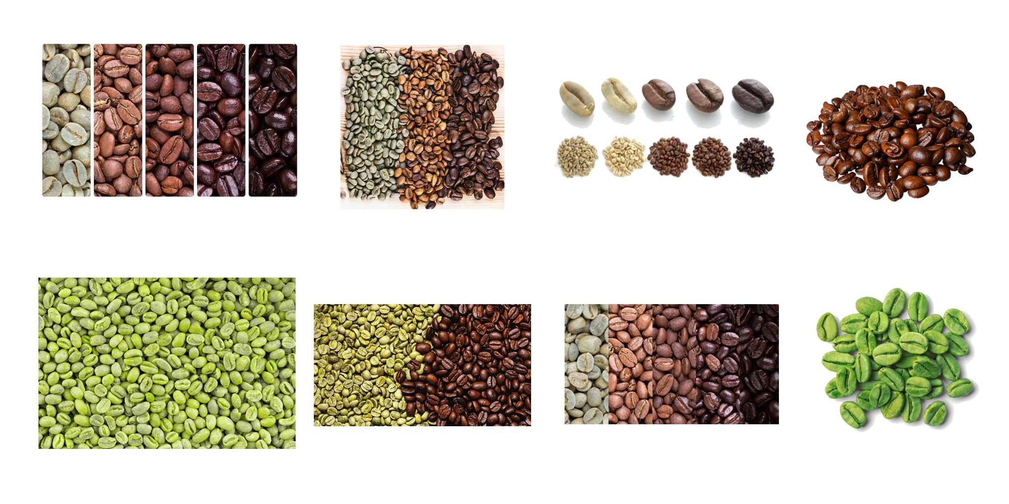 Green Coffee Processing and Roasting Products